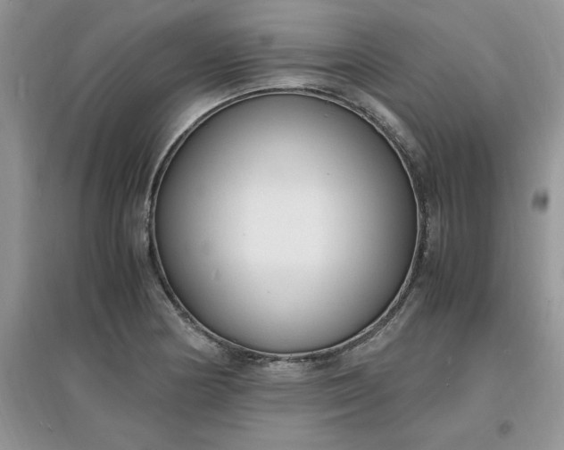 X0000097621178200803141955