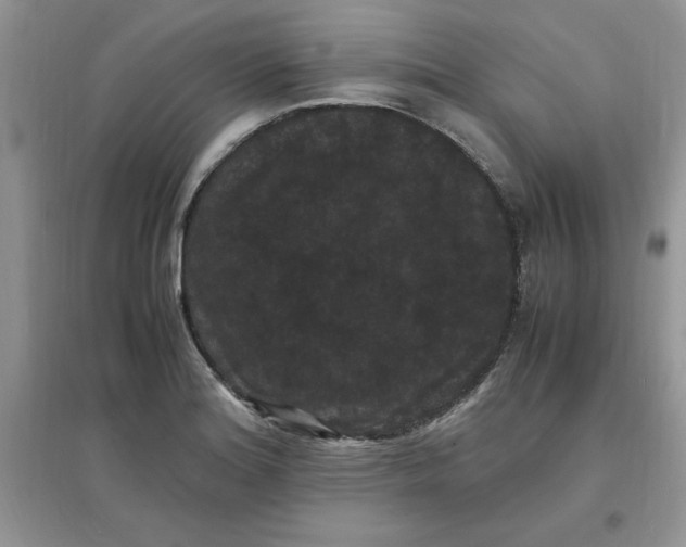 X0000097621180200803141955