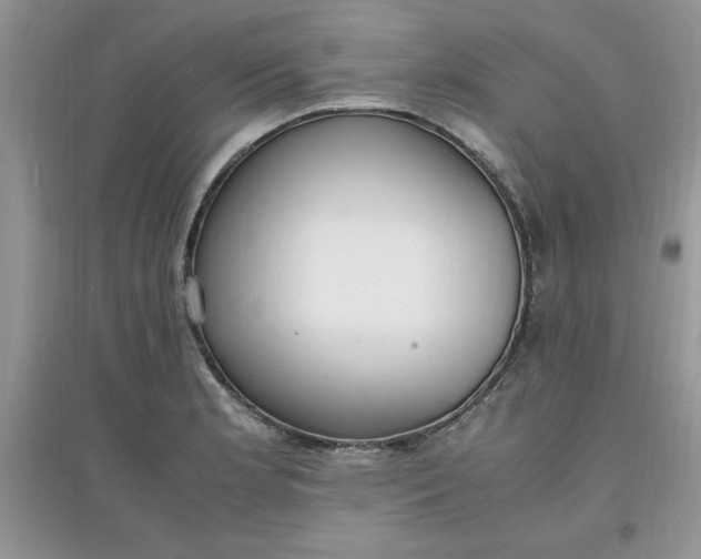 X0000097621181200803141955