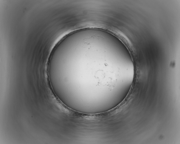 X0000097621182200803141955