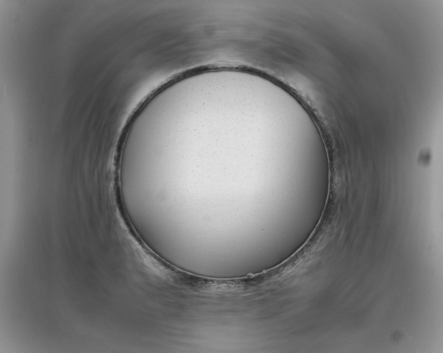 X0000097621183200803141955