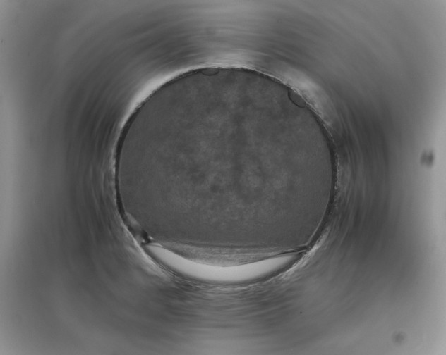 X0000097621184200803141955