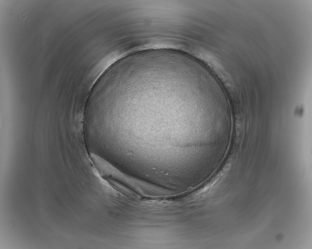 X0000097621185200803141955