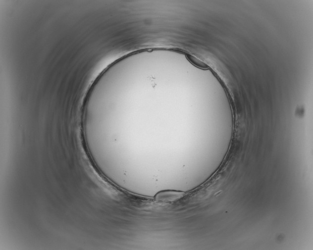 X0000097621187200803141955
