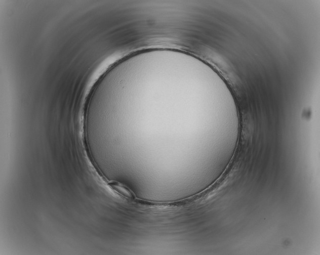 X0000097621188200803141955