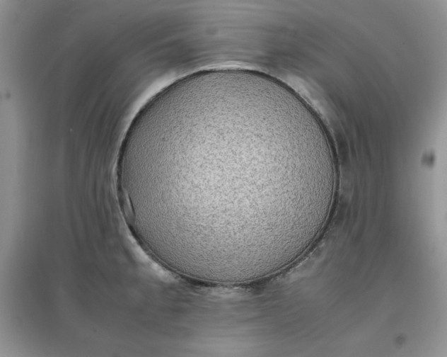 X0000097621189200803141955