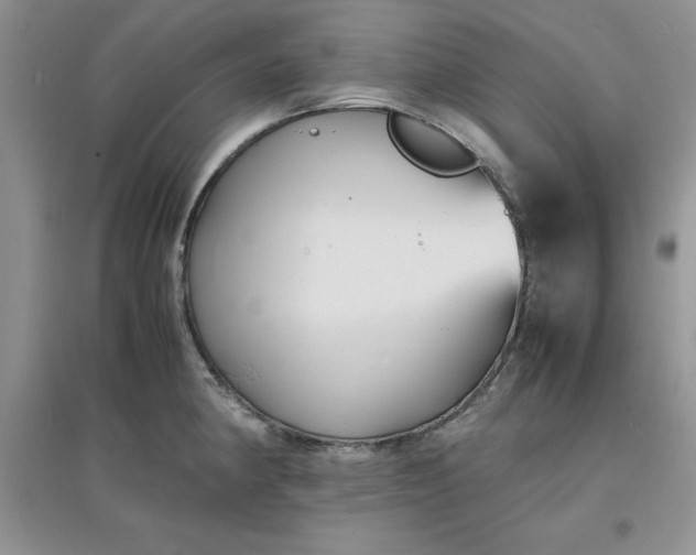 X0000097621190200803141955