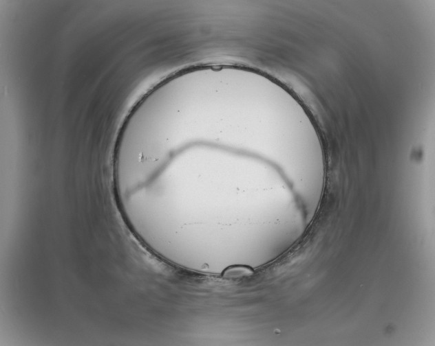 X0000097621191200803141955