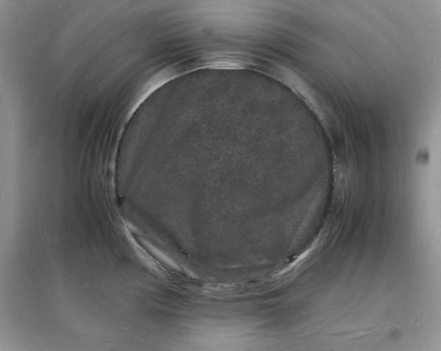 X0000097621194200803141955