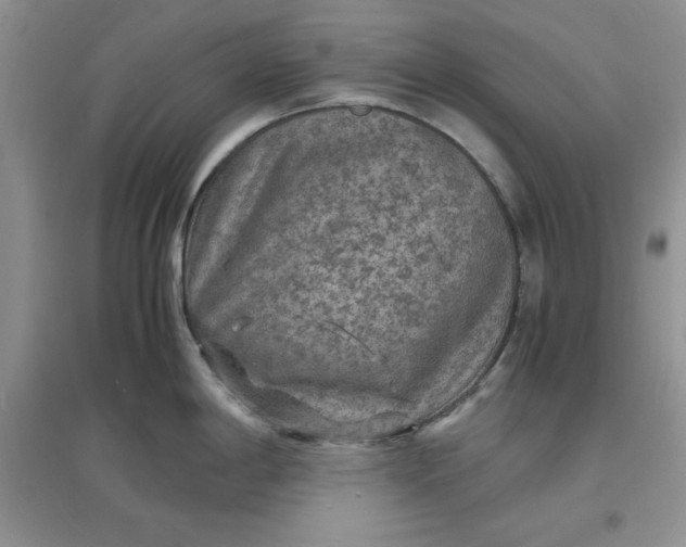 X0000097621198200803141955