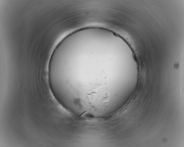 X0000097621199200803141955