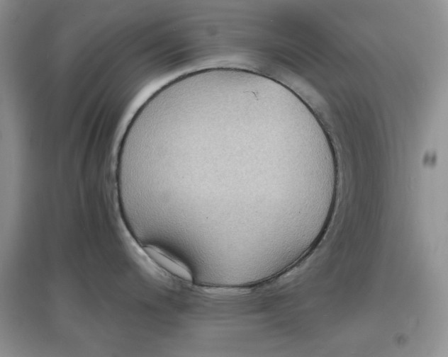 X0000097621200200803141955