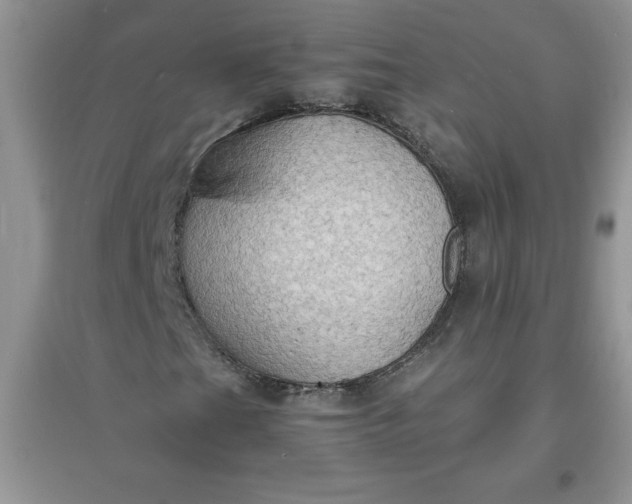 X0000097621201200803141954