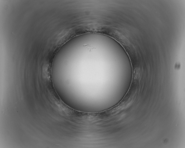 X0000097621202200803141954