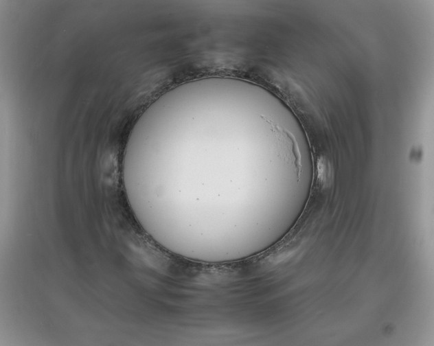 X0000097621203200803141954