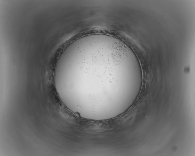 X0000097621207200803141954