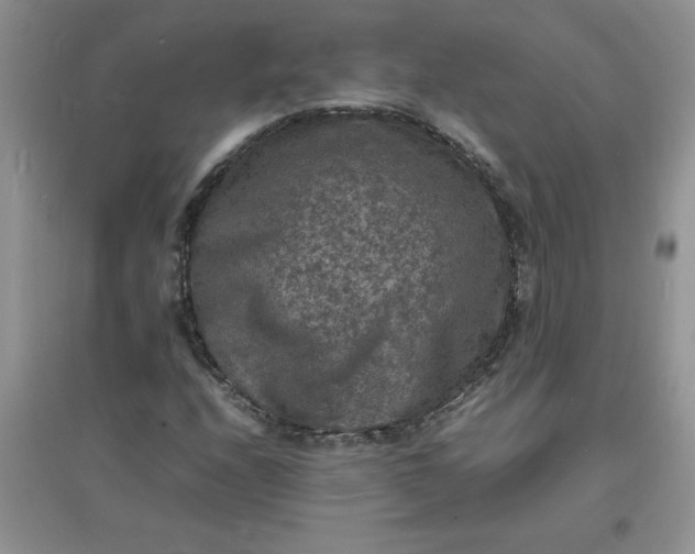X0000097621208200803141954