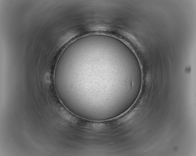 X0000097621209200803141954