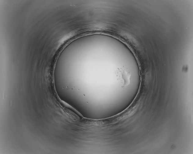 X0000097621210200803141954