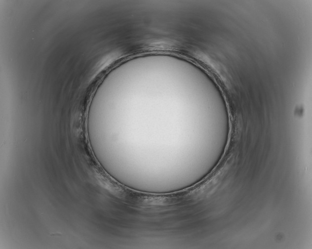 X0000097621211200803141954