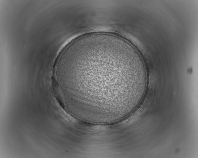 X0000097621212200803141954