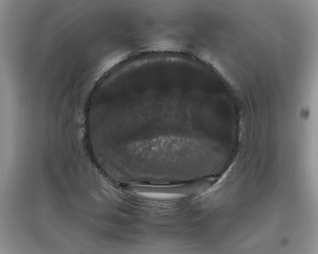 X0000097621213200803141954