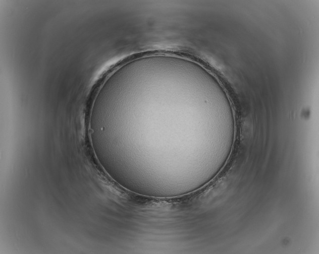 X0000097621214200803141954