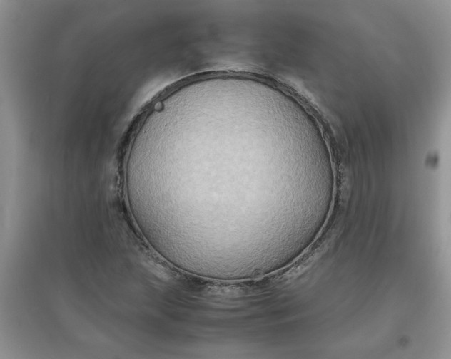 X0000097621215200803141954
