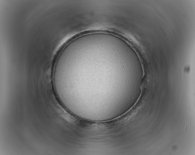X0000097621216200803141954