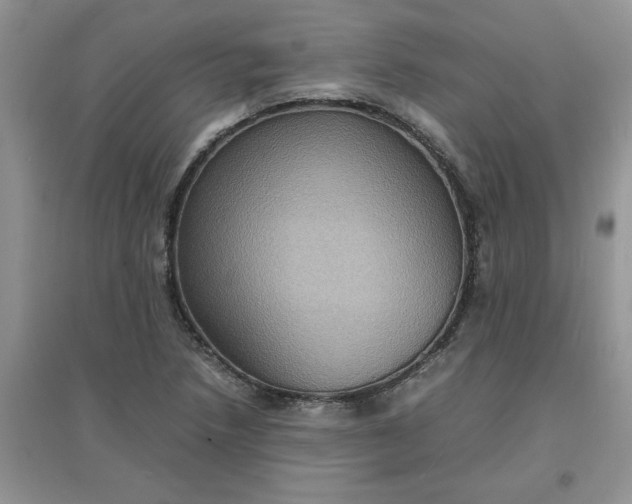 X0000097621218200803141954