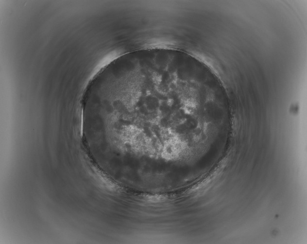 X0000097621219200803141955