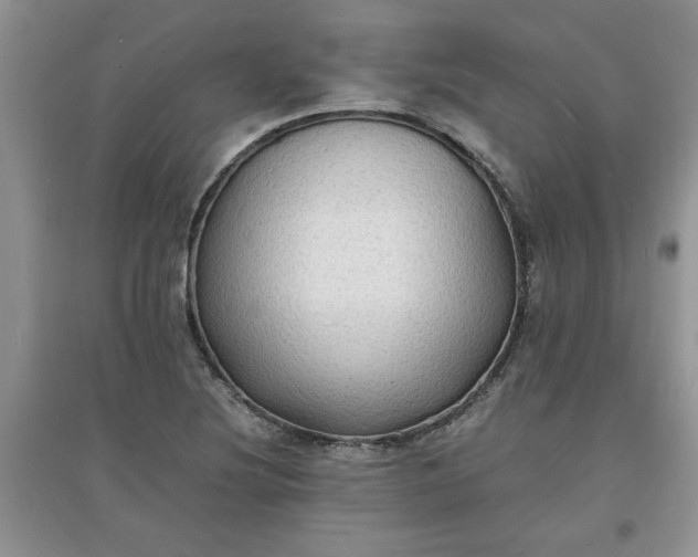 X0000097621220200803141955