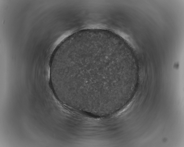 X0000097621221200803141955