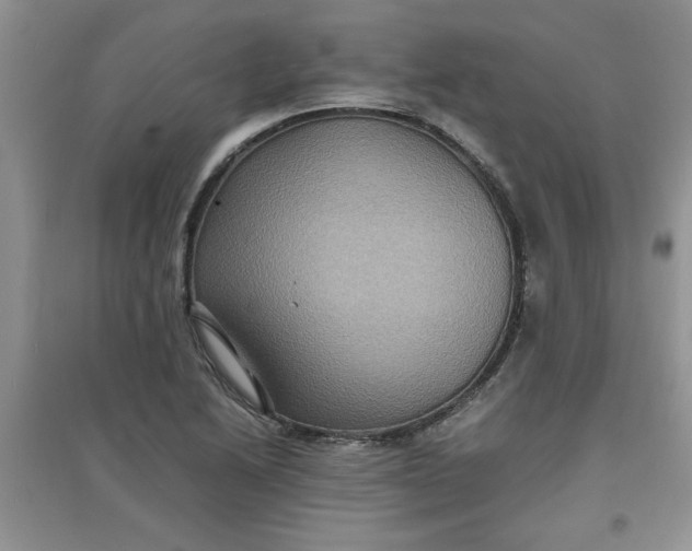 X0000097621222200803141955