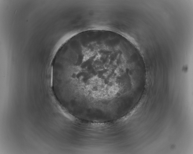 X0000097621223200803141955