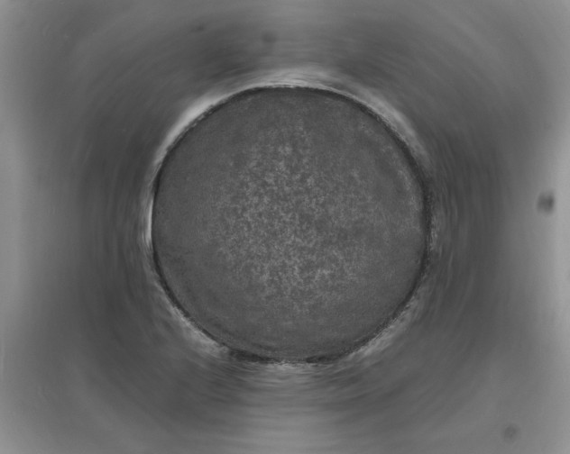 X0000097621224200803141955