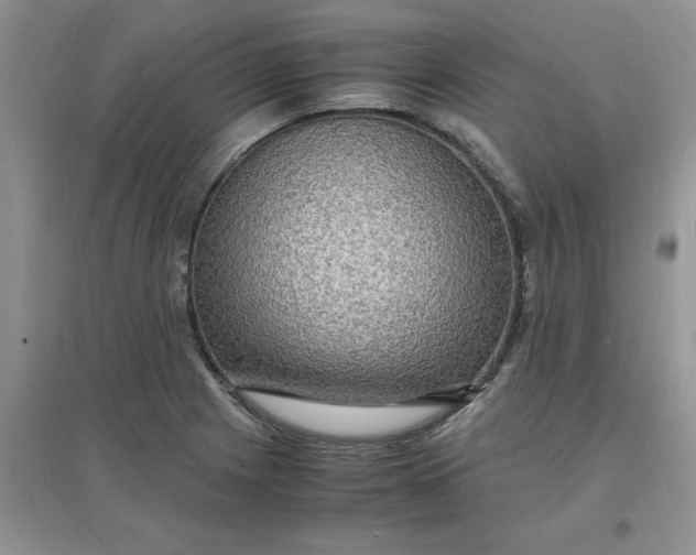 X0000097621225200803141955