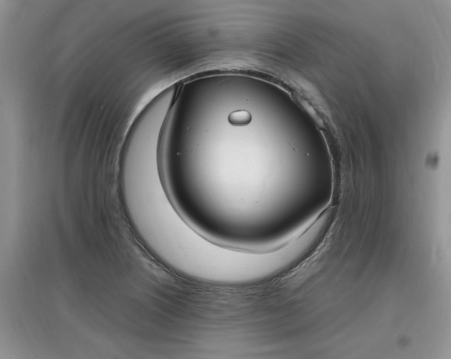 X0000097621226200803141955