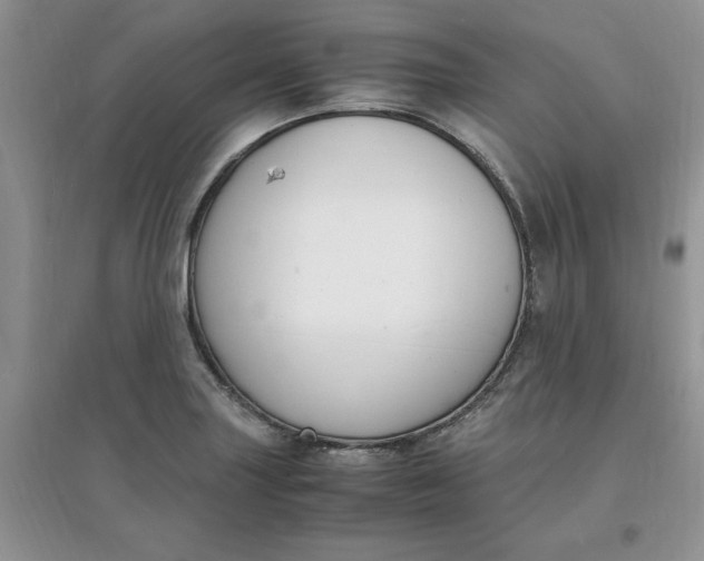 X0000097621227200803141955