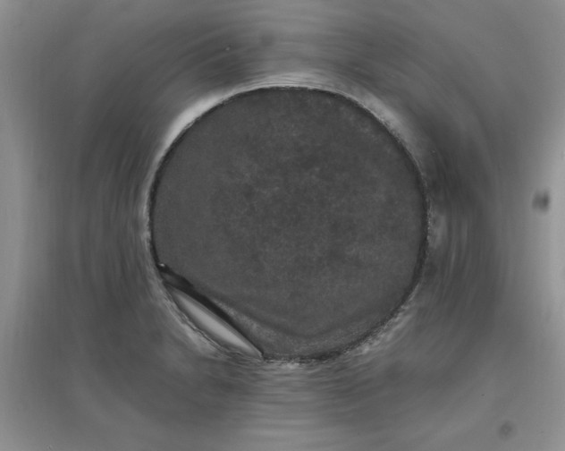 X0000097621230200803141955