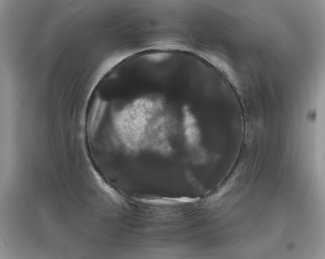 X0000097621231200803141955