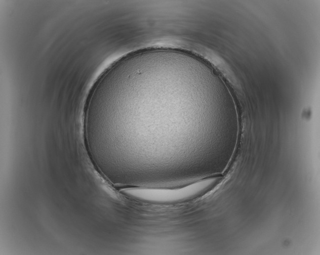 X0000097621232200803141955