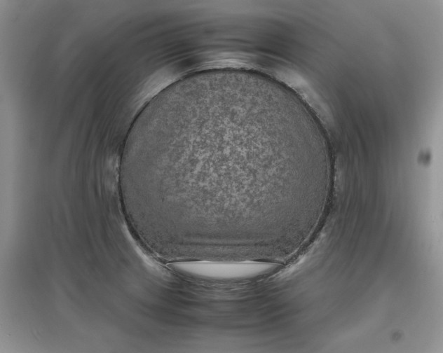 X0000097621233200803141955