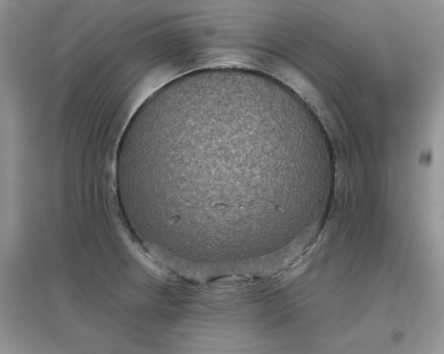 X0000097621234200803141955