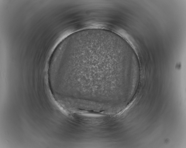 X0000097621235200803141955