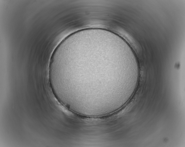 X0000097621236200803141955