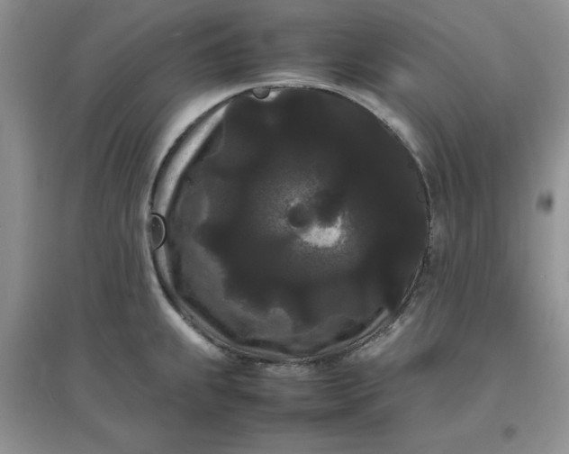 X0000097621239200803141955