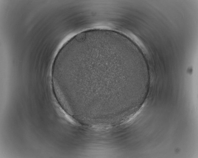X0000097621240200803141955