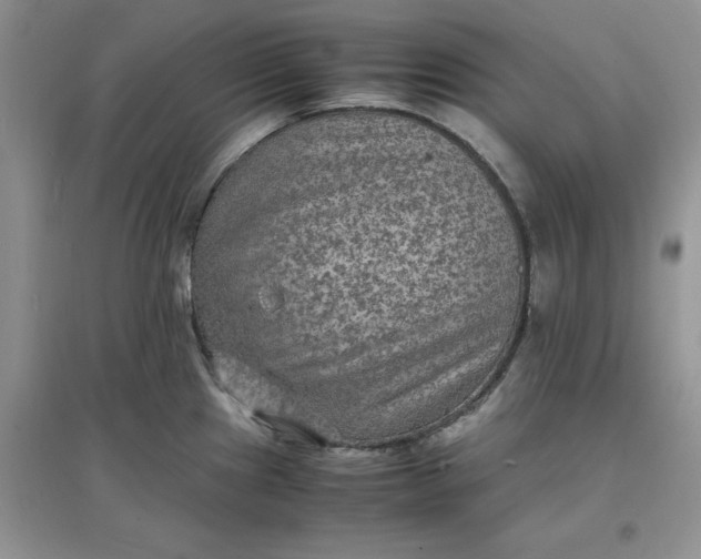 X0000097621241200803141955