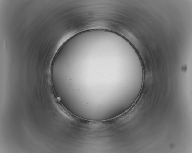 X0000097621242200803141955
